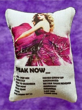 TAYLOR SWIFT Speak Now album cat nip toy catnip filled kitty toys unique pillow